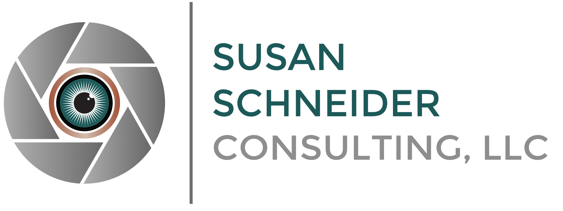 Susan Schneider Consulting, LLC